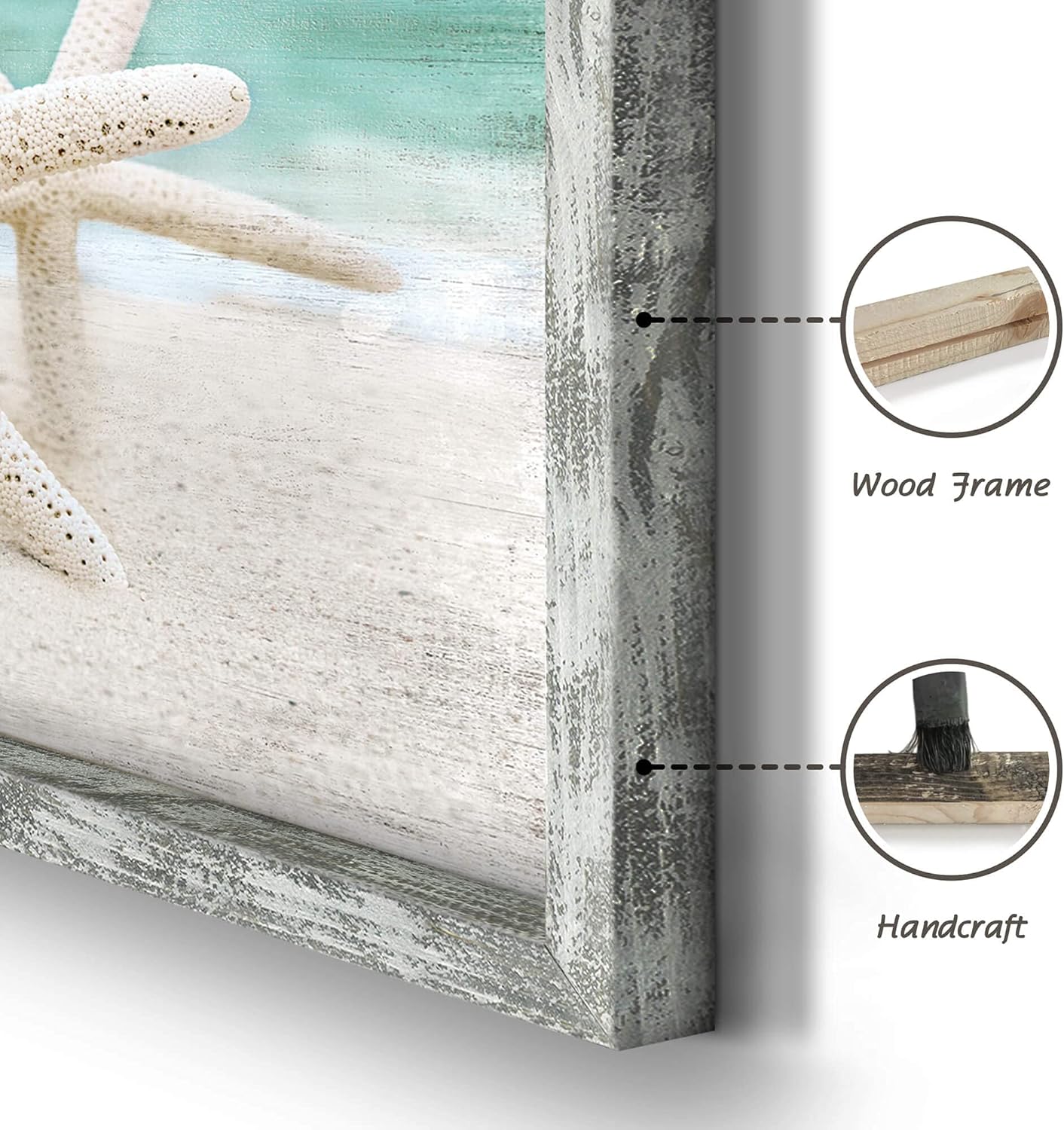 Beach Framed Wooden Wall Art: Coastal Artwork Set of 4 Starfish Seashell & Sand Dollar Pictures Ocean Prints for Home Decor