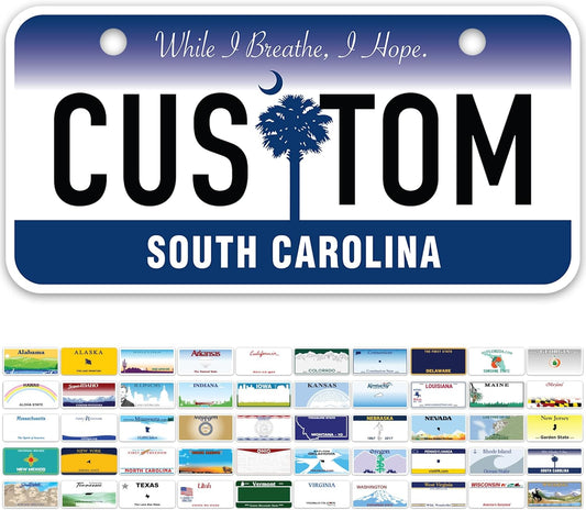 Mini License Plates, Personalized License Plates, Custom for Car, Bikes, ATV, Kids Car, Golf Cart, Jeep, 2x4 Inch, Rust-Free Fade Resistant Aluminum, USA Made by My Sign Center (South Carolina)