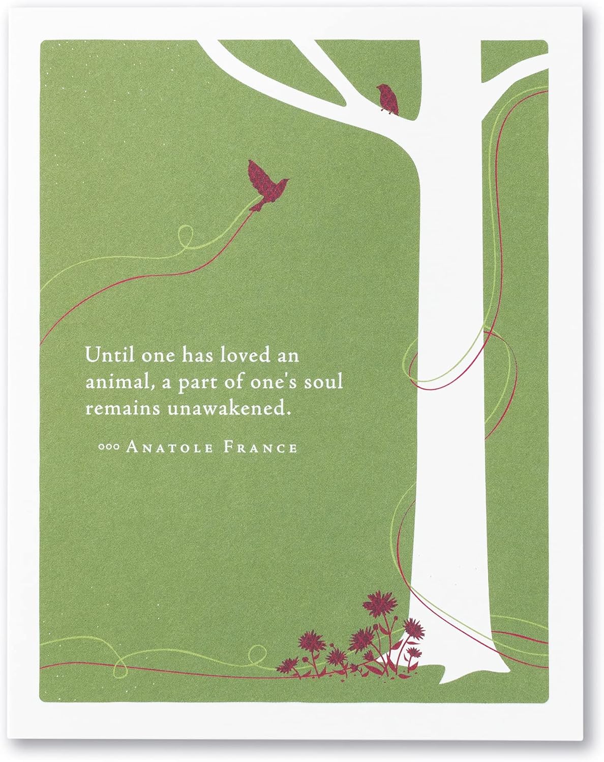 Compendium Positively Green 4-Pack of Pet Sympathy Cards – Assorted (Four Different Designs, One Card Each, with Envelopes)