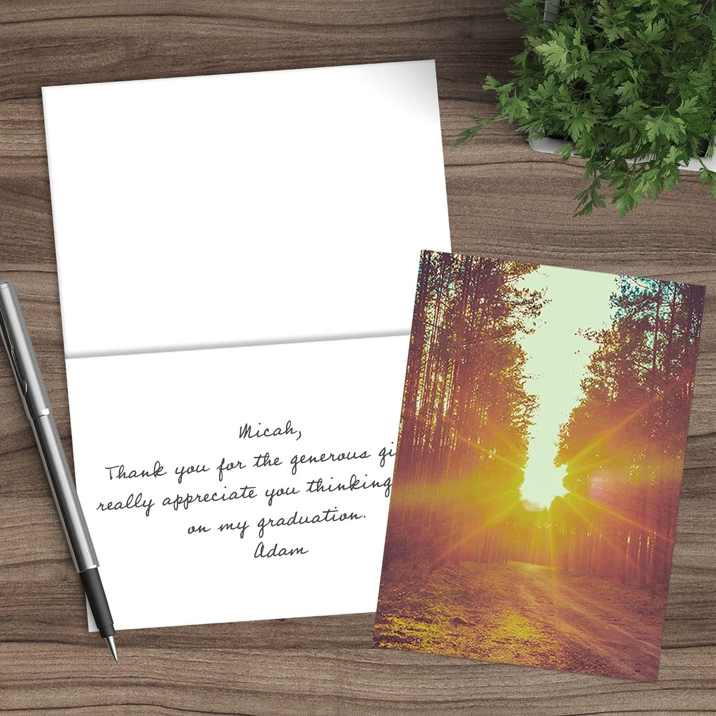Canopy Street Beautiful Sunrise Greeting Note Card Pack / 24 Nature Greeting Cards With White Envelopes / 6 Lovely Outdoor Sunset Scenery Designs / 4 5/8" x 6 1/4" All Occasion Sympathy Cards