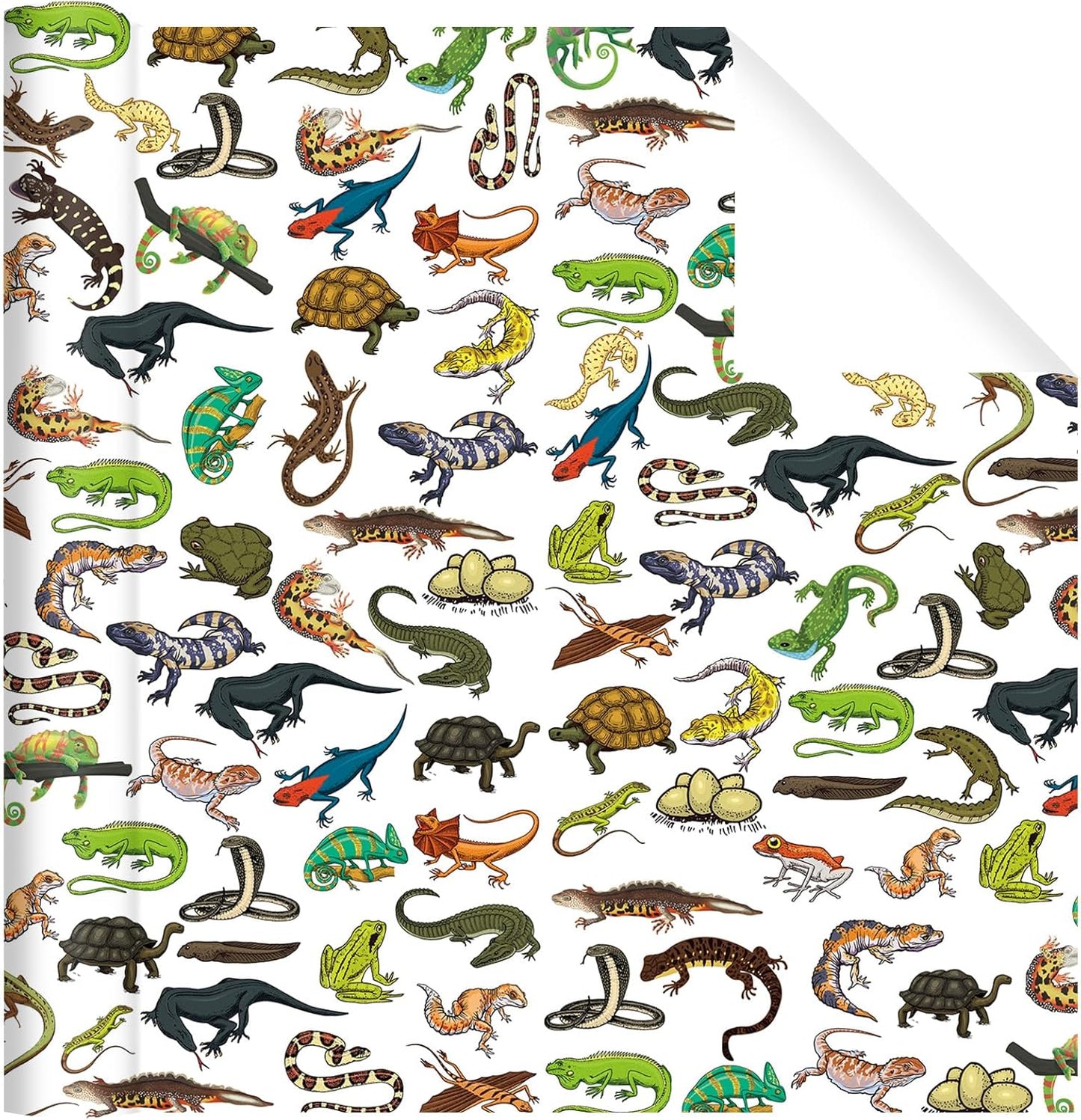 Pineraap Exotic Pet Wrapping Paper Roll - 17Inch x16.4Feet - Leopard Gecko Chameleon Snake Frog Turtle Reptiles Theme Gift Wrap for Reptile Lovers,Birthday Parties,Holiday Gifts