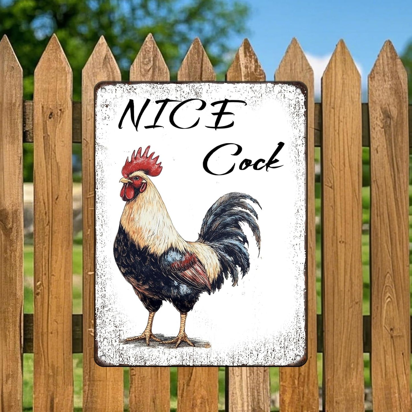 Nice Cock Metal Tin Sign 12x16 Inch Farmhourse Chicken Poster Chicken Tin Sign Home Kitchen Garden Bar Pub Restaurant Are Wall Decor