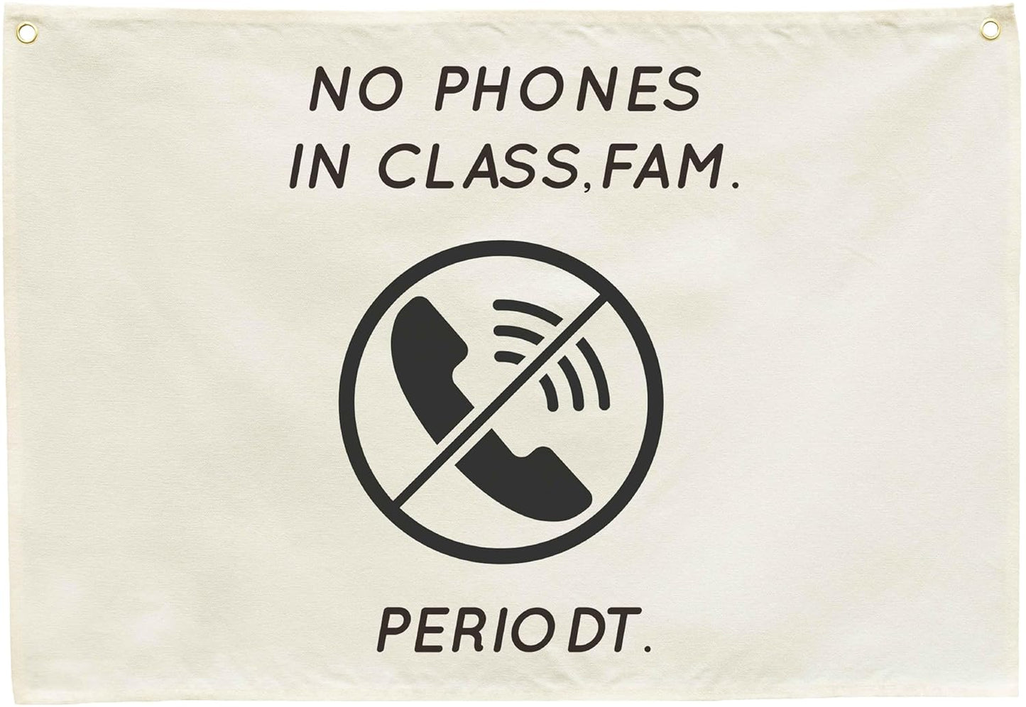 Classroom Wall Decor Poster-Funny Classroom Rules Banner-Teenager Slang-Middle High School Class Decortion-Rectangle Banner Flag Wall Decor-Christmas Gift-No Phones in Class-28.5"L×20"W