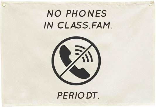 Classroom Wall Decor Poster-Funny Classroom Rules Banner-Teenager Slang-Middle High School Class Decortion-Rectangle Banner Flag Wall Decor-Christmas Gift-No Phones in Class-28.5"L×20"W
