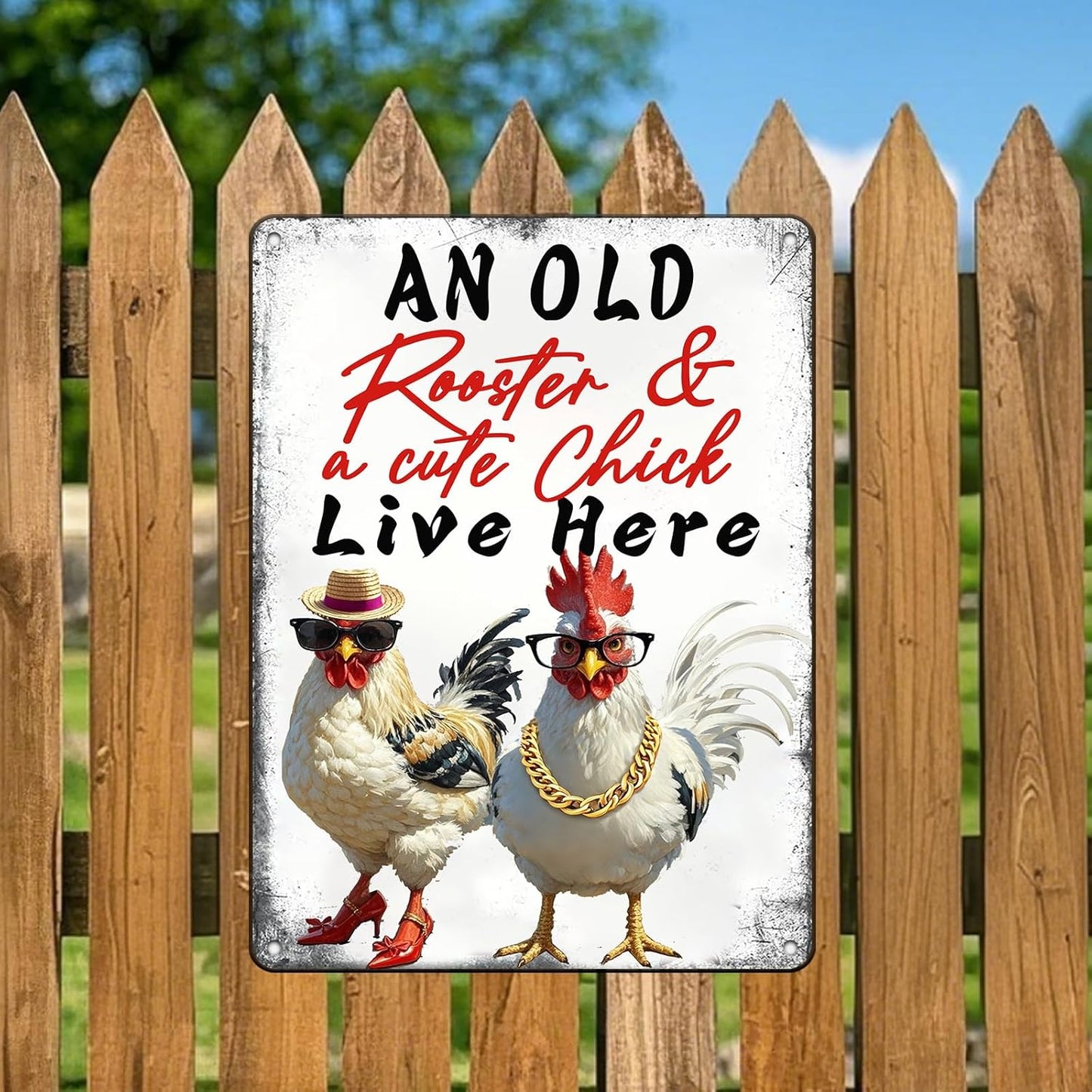 Funny Cute Chicken Coop Accessories Metal Tin Sign Vintage Style An Old Rooster & A Cute Chick Live Here Iron Poster Home Garden Kitchen Wall Decor 12x16 Inch Farmhouse Outdoor Plaque