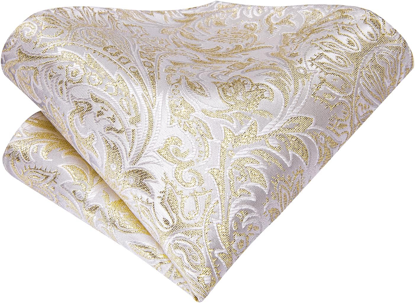 Dubulle Mens Paisley Striped Tie WOVEN Necktie for Men and Handkerchief Cufflinks Set Wedding Formal Business