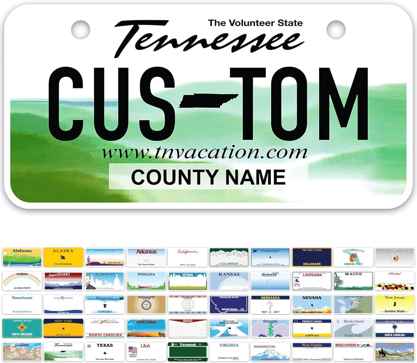 Mini License Plates, Personalized License Plates, Custom for Car, Bikes, ATV, Kids Car, Golf Cart, Jeep, 2x4 Inch, Rust-Free Fade Resistant Aluminum, USA Made by My Sign Center (Tennessee)