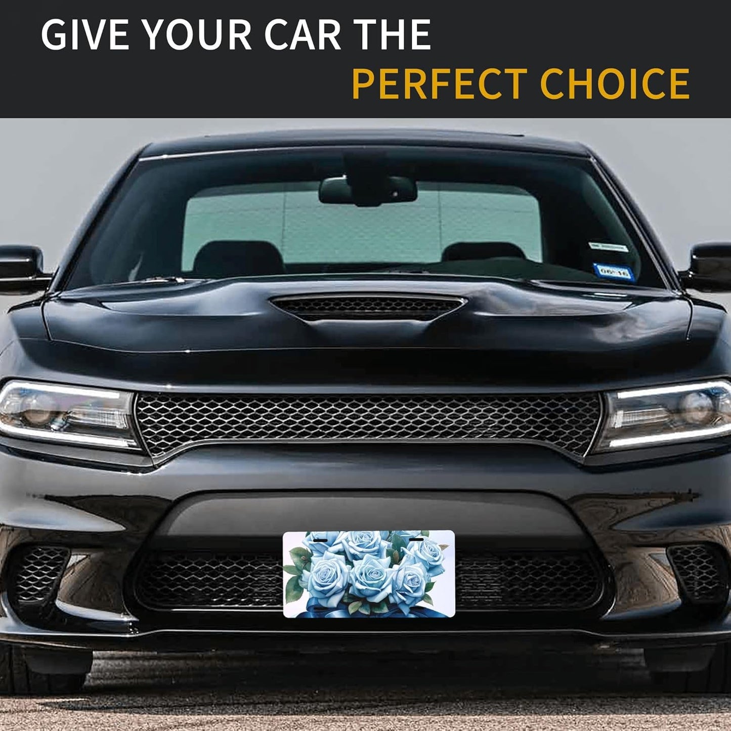 Front License Plate for Car Designs Blue Rose Flower Stainless License Plate Cover Holder for Men Women Metal Aluminum Decorative Accessory Vanity Tag Standard 6 X 12 Inch (4 Holes)