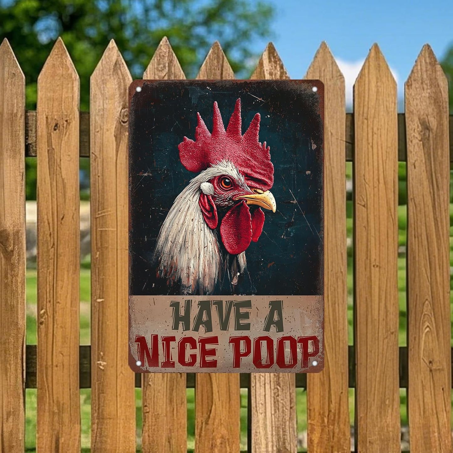 Vintage Chickens Have A Nice Poop Metal Tin Sign 12x8 Inch Chicken Funny Metal Poster Funny Chicken Tin Sign Home Kitchen Garden Bar Pub Restaurant Bathroom Are Wall Decor
