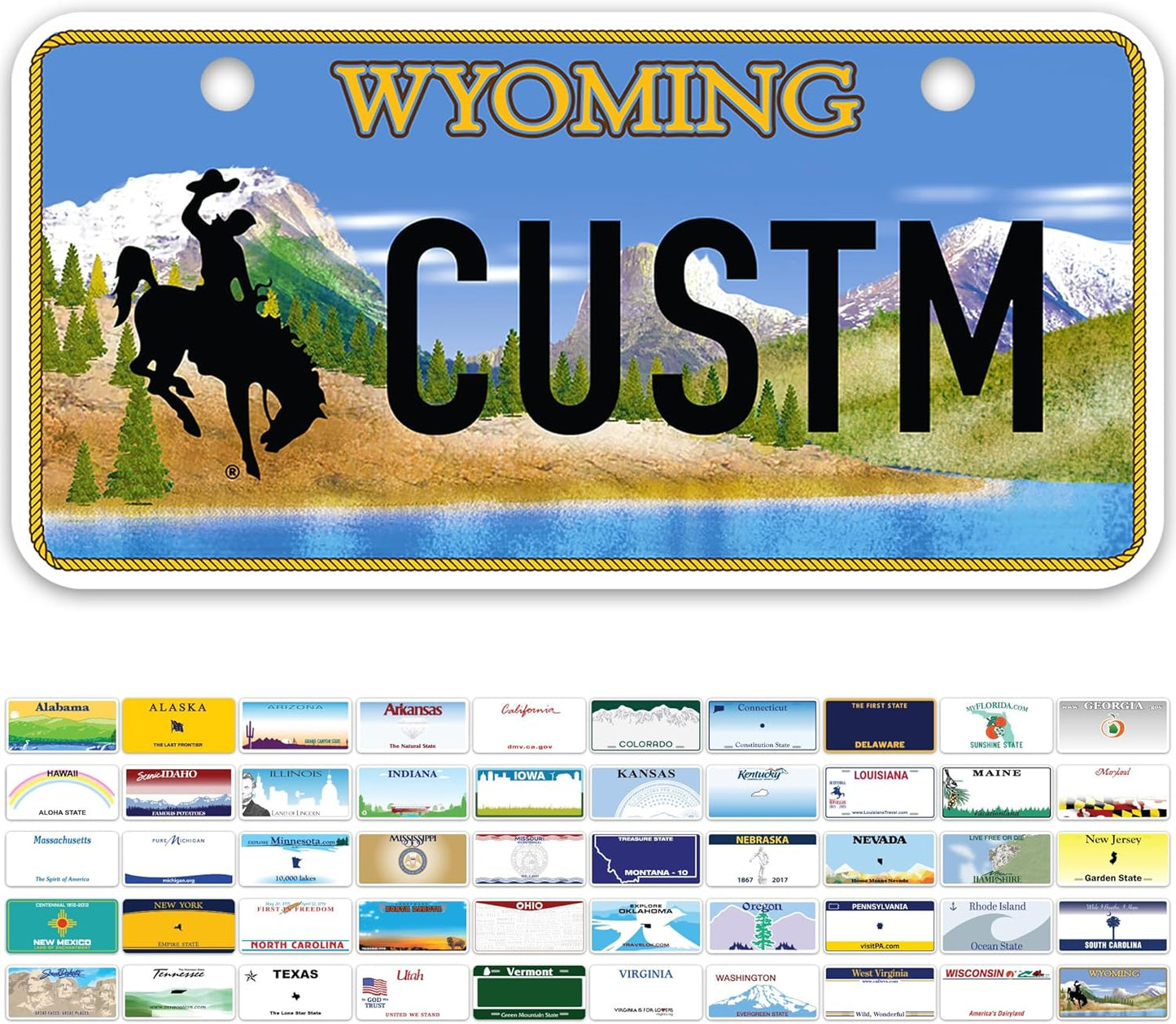 Mini License Plates, Personalized License Plates, Custom for Car, Bikes, ATV, Kids Car, Golf Cart, Jeep, 2x4 Inch, Rust-Free Fade Resistant Aluminum, USA Made by My Sign Center (Wyoming)