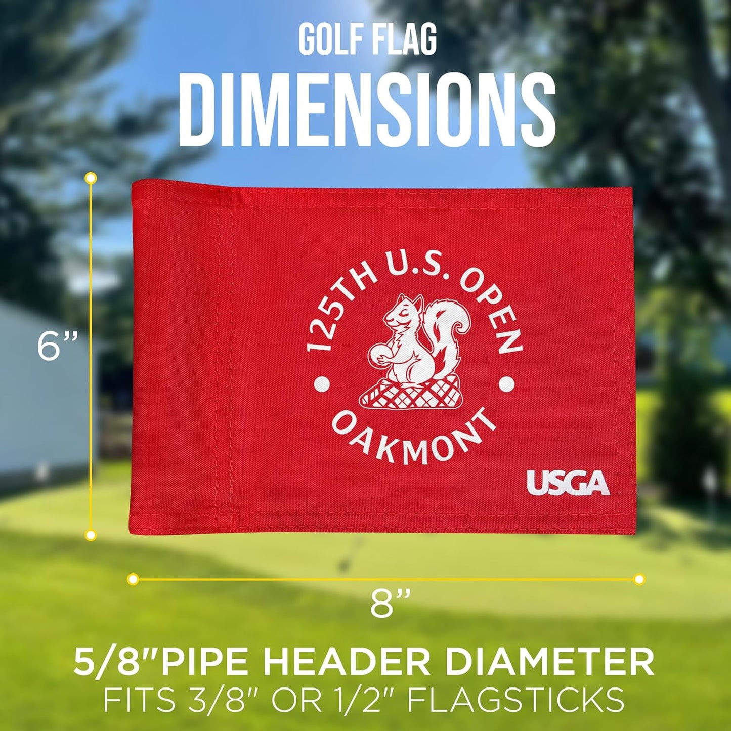 2025 Themed Mini Golf Flag, 8x6 Inch, Double-Sided Silk-Printed, Durable 420D Nylon, Ideal for Backyard Practice Putting Green