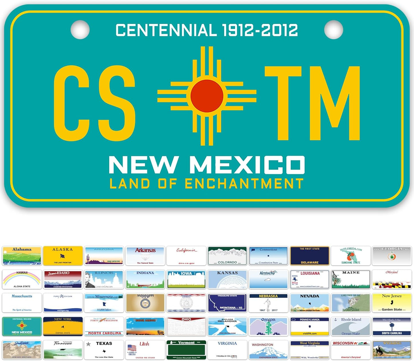 Mini License Plates, Personalized License Plates, Custom for Car, Bikes, ATV, Kids Car, Golf Cart, Jeep, 2x4 Inch, Rust-Free Fade Resistant Aluminum, USA Made by My Sign Center (New Mexico)