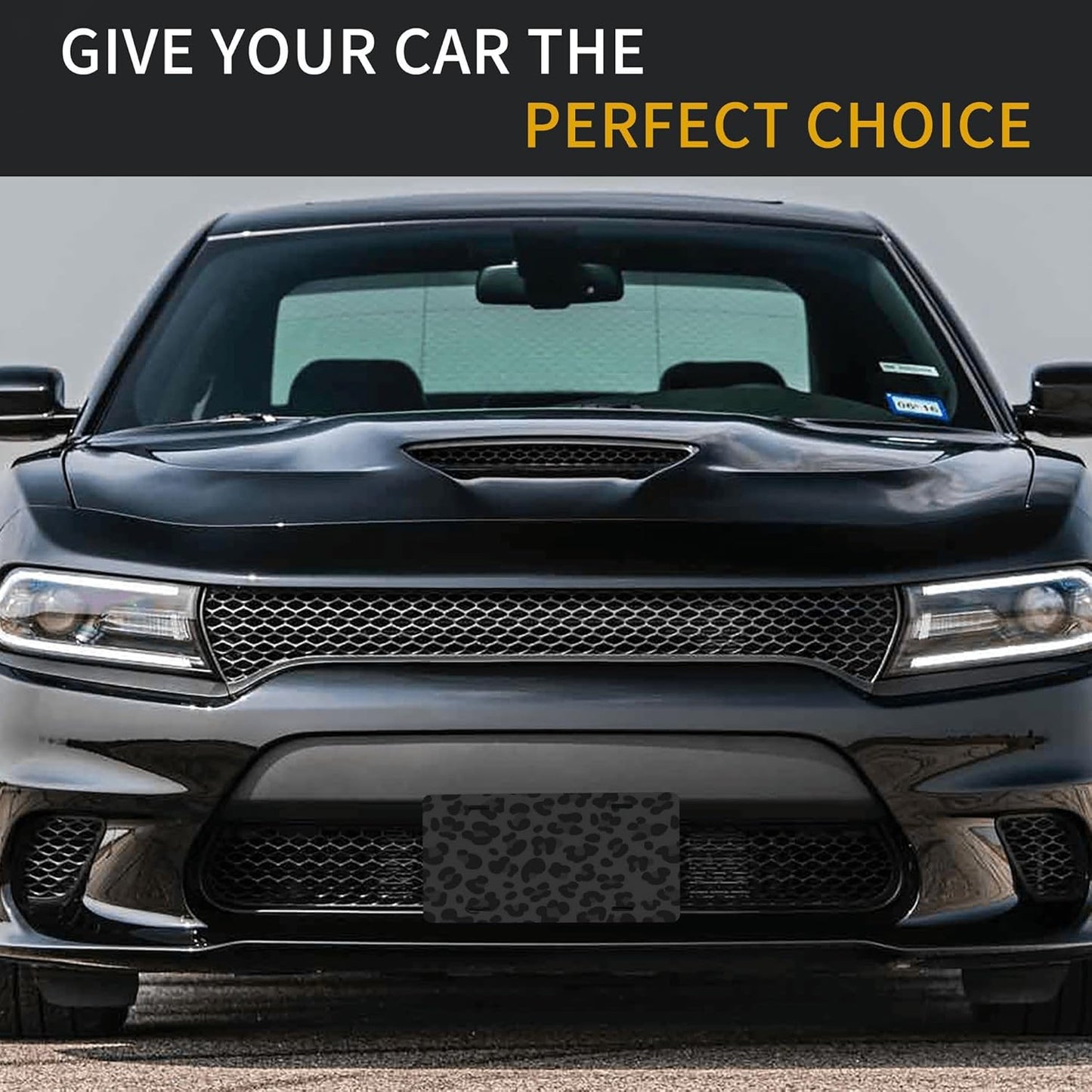 Black Animal Leopard Print Front License Plate for Car Designs Stainless License Plate Cover Holder for Men Women Metal Aluminum Decorative Accessory Vanity Tag Standard 6 X 12 Inch (4 Holes)