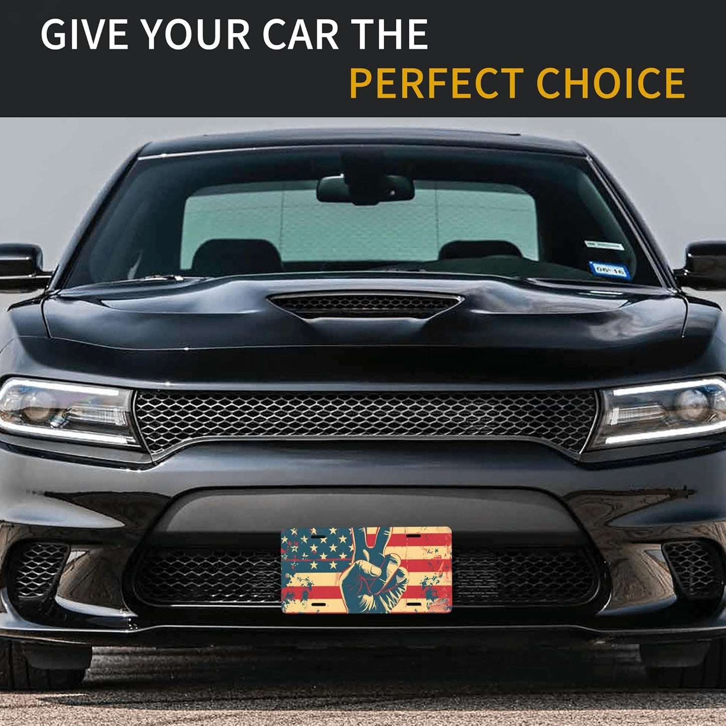 American Flag Peace Sign Front License Plate for Car Designs Stainless License Plate Cover Holder for Men Women Metal Aluminum Decorative Accessory Vanity Tag Standard 6 X 12 Inch (4 Holes)