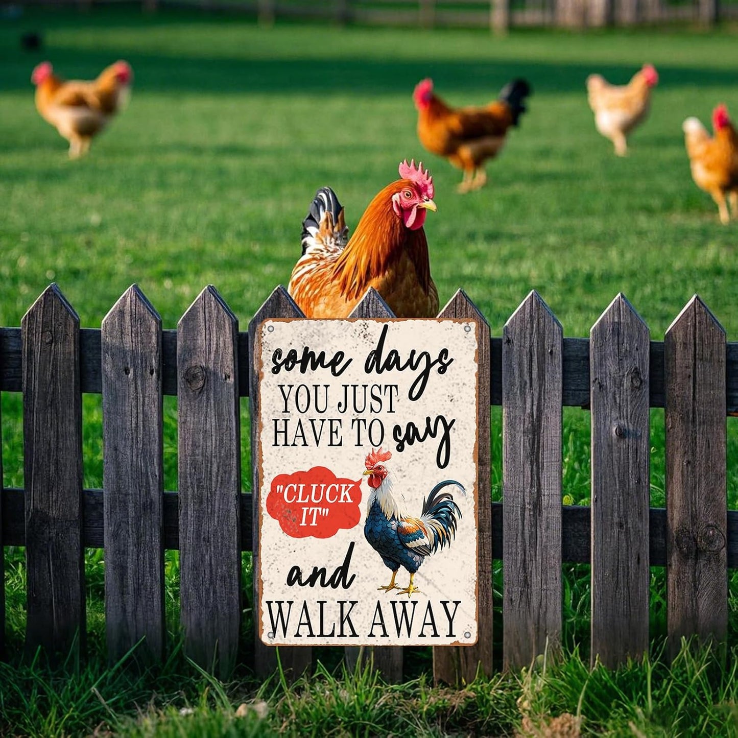 Chicken Rules Metal Tin Sign Chicken Coop Rules Iron Sign Home Decor Garage Bar Restaurant Wall Decor 12x8 Inch Funny Farm Plaque