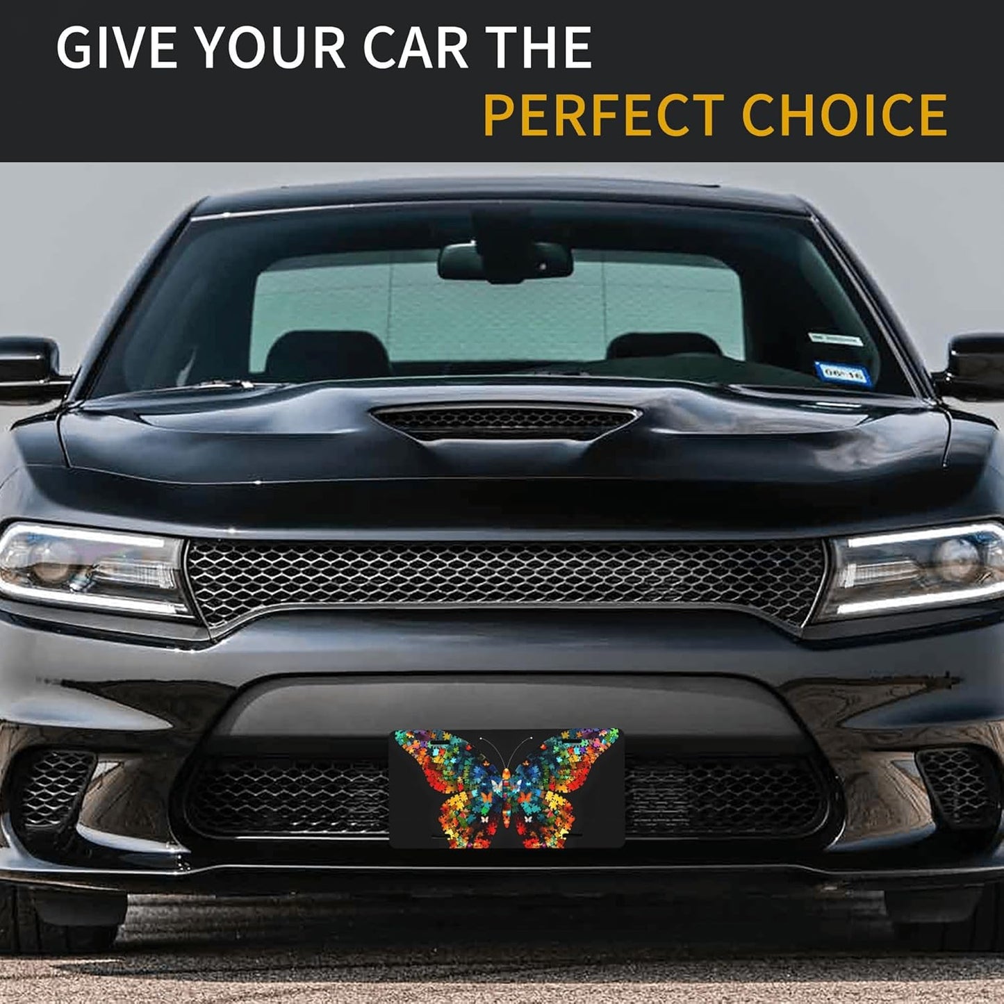 Front License Plate for Car Designs Autism Animal Butterfly Stainless License Plate Cover Holder for Men Women Metal Aluminum Decorative Accessory Vanity Tag Standard 6 X 12 Inch (4 Holes)