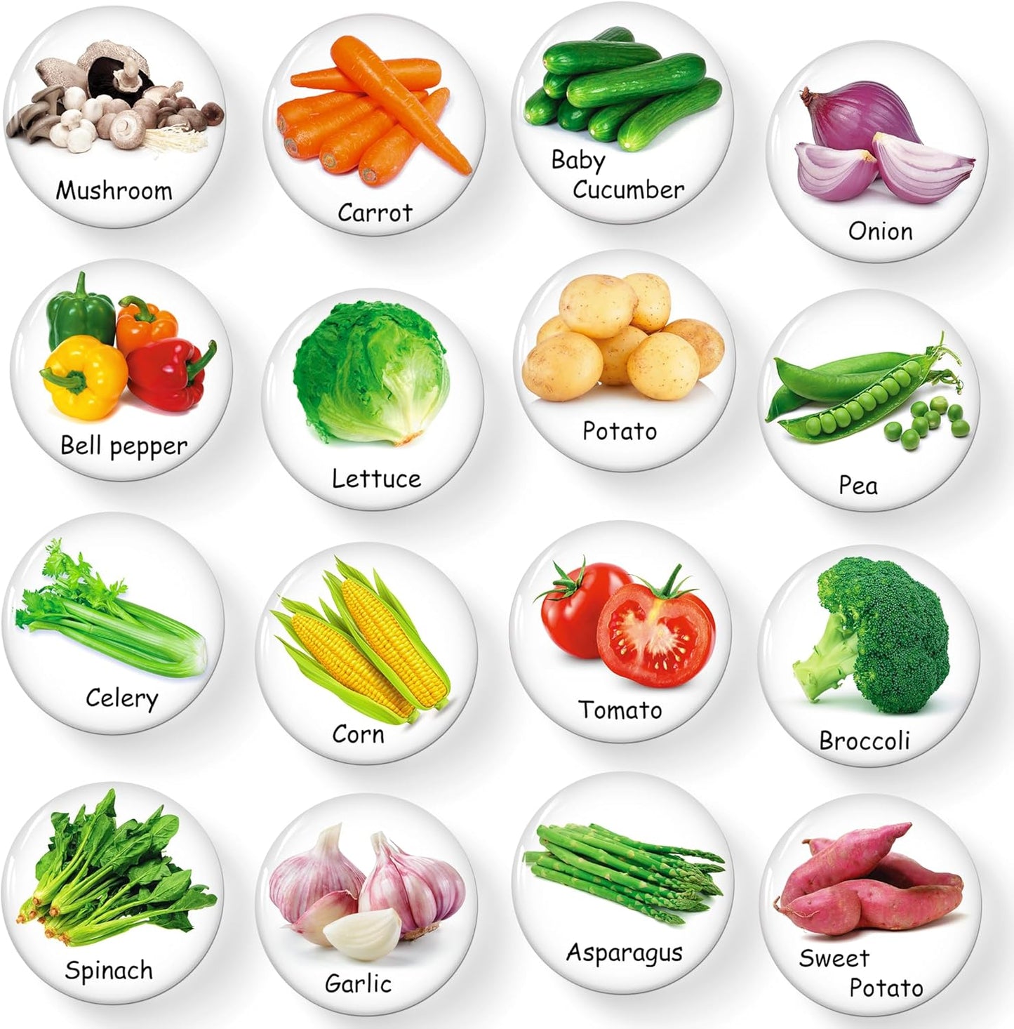 MORCART 16PCS Food Magnets for Fridge, Cute Vegetable Magnets for Refrigerator Locker Whiteboard Decorative Magnetic Board Cabinets Classroom Office Cubicle School