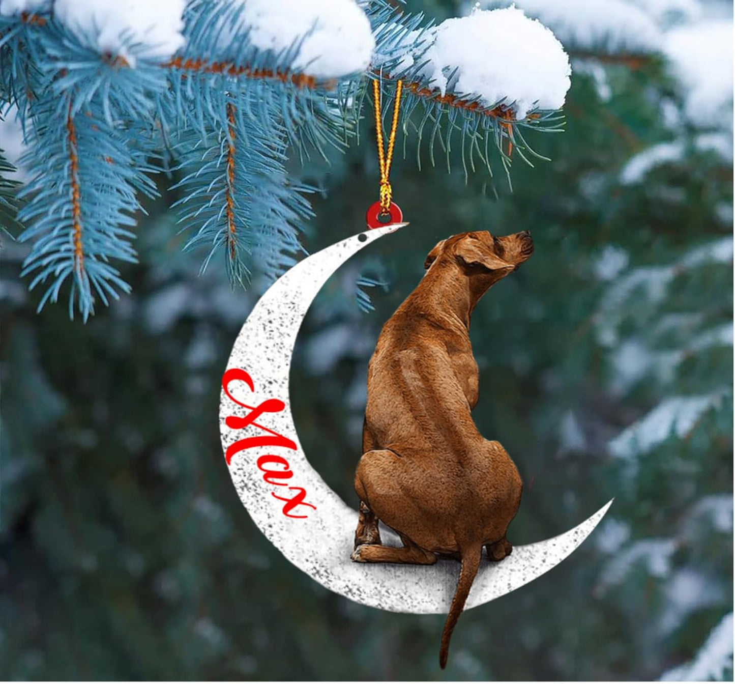 Custom Rhodesian Ridgeback Dog Sit on The Moon Ornaments, Custom Your Dog Name, Christmas Dog Lover Gifts - Christmas for Dogs, Dog Christmas Ornaments 2023, Flat 2D Printing