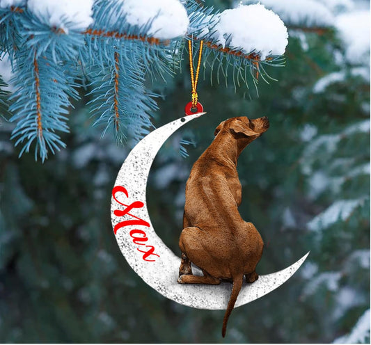 Custom Rhodesian Ridgeback Dog Sit on The Moon Ornaments, Custom Your Dog Name, Christmas Dog Lover Gifts - Christmas for Dogs, Dog Christmas Ornaments 2023, Flat 2D Printing