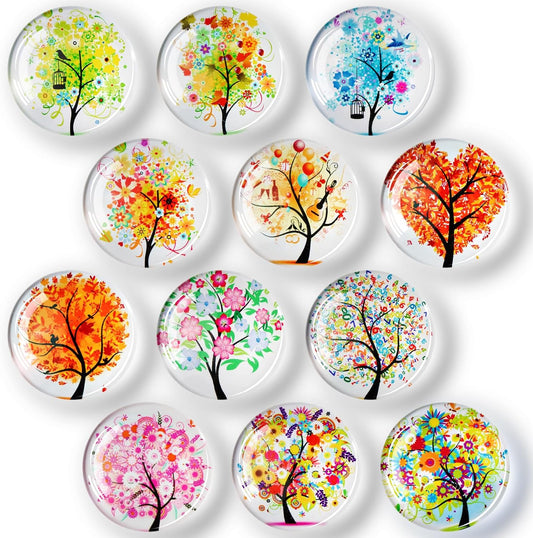 FINDMAG 12 Pcs Fridge Magnets, Decorative Refrigerator Magnets, Glass Magnet Refrigerator Fun, Strong Cute Magnet for Fridge, Locker, Whiteboard, Home, Kitchen, Office, Classroom, Adult