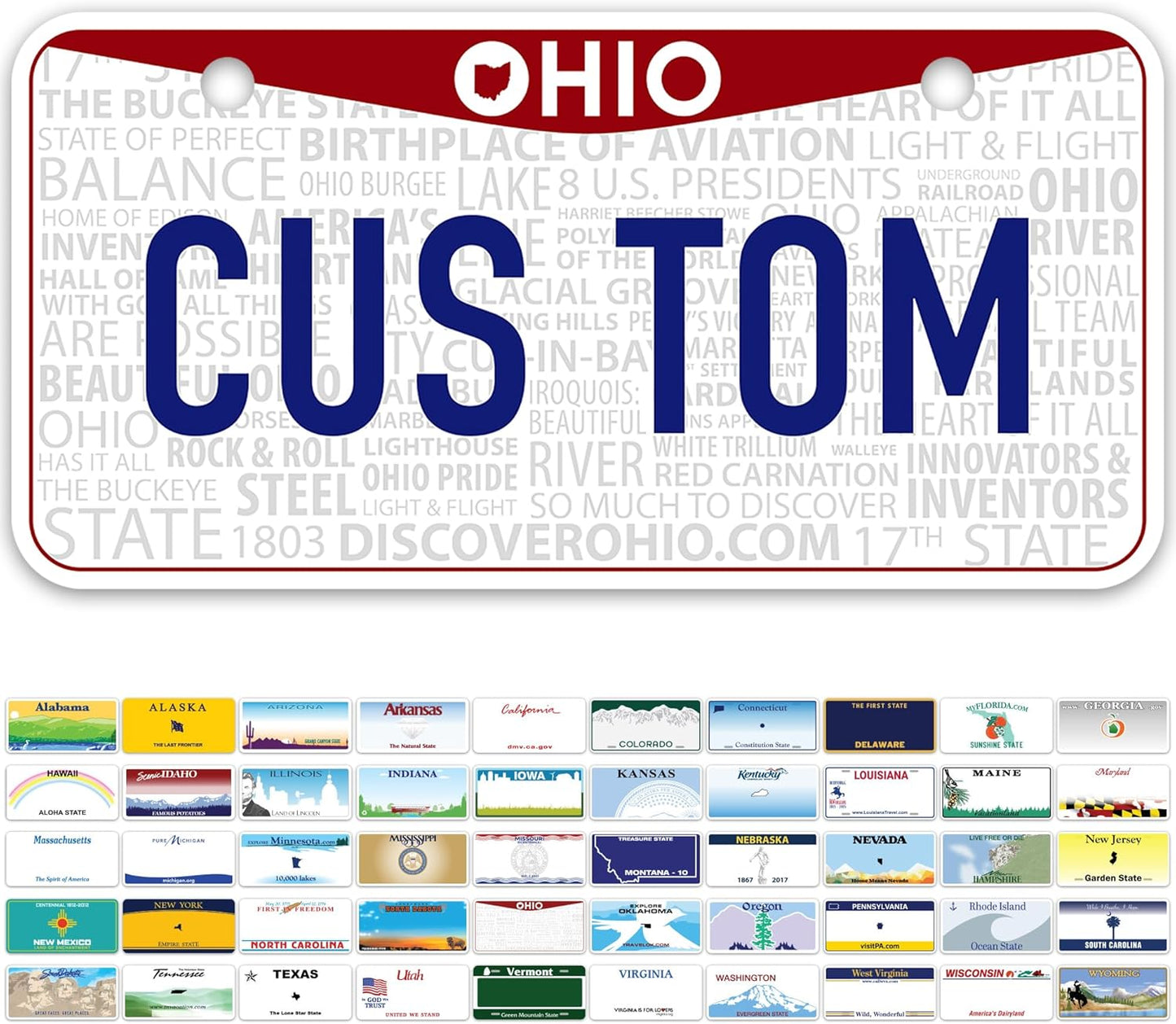 Mini License Plates, Personalized License Plates, Custom for Car, Bikes, ATV, Kids Car, Golf Cart, Jeep, 2x4 Inch, Rust-Free Fade Resistant Aluminum, USA Made by My Sign Center (Ohio)